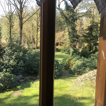 Waldgasthof Roeckers-ferienwohnung Hahnenkrai Meppen